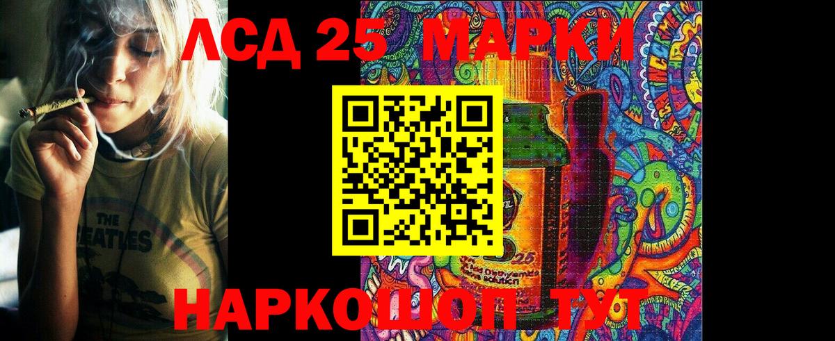 Сокол  Наркотические марки  Марки N-bome 1,5мг  Вход с VPN  Марки N-bome 1,5мг 