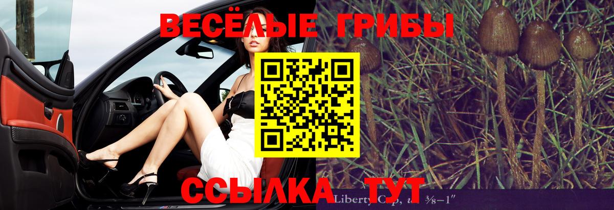Сокол  Псилоцибиновые грибы прущие грибы  Вход с VPN 