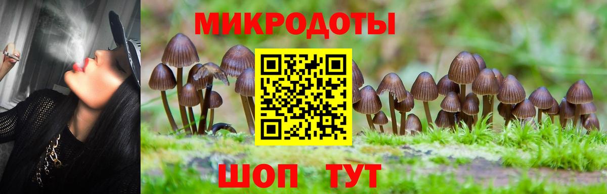 Псилоцибиновые грибы GOLDEN TEACHER Сокол